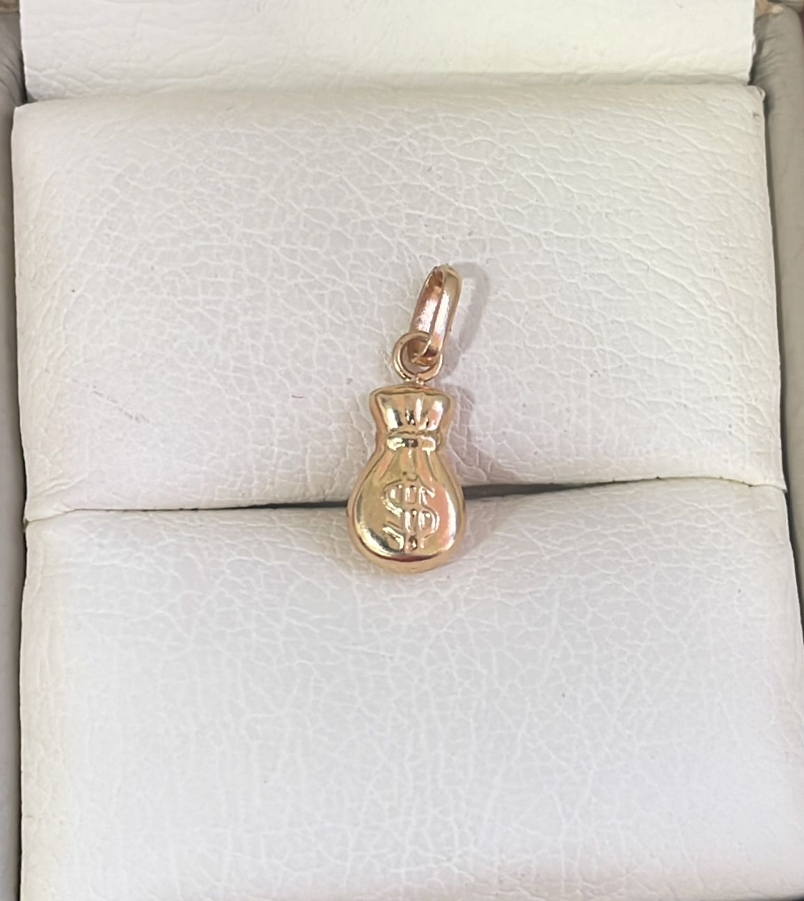 Dije Bolsa Dinero